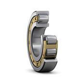 Cylindrical Roller Bearings