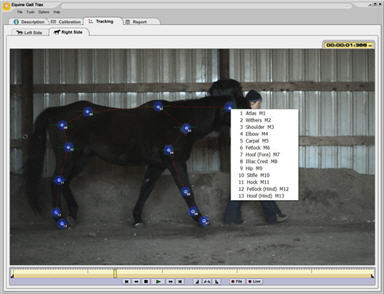 Small Equine Tracking